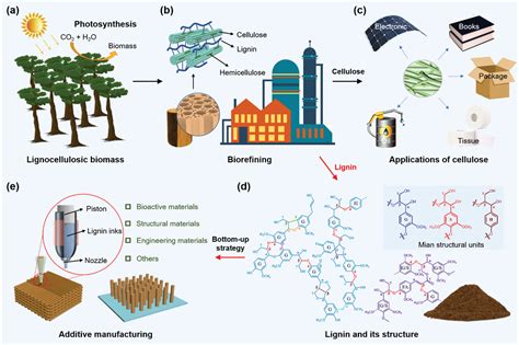  Lignin: Un Additif Inattendu Pour une Construction Plus Durable !